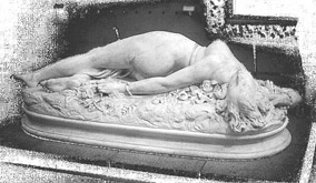 Mujer mordida por una serpiente Mujer mordida por una serpiente